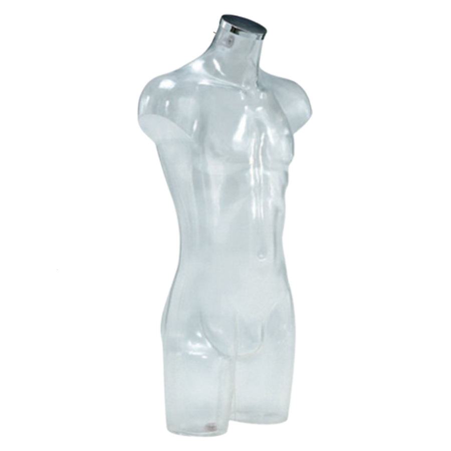 Herrentorso transparent - 88cm